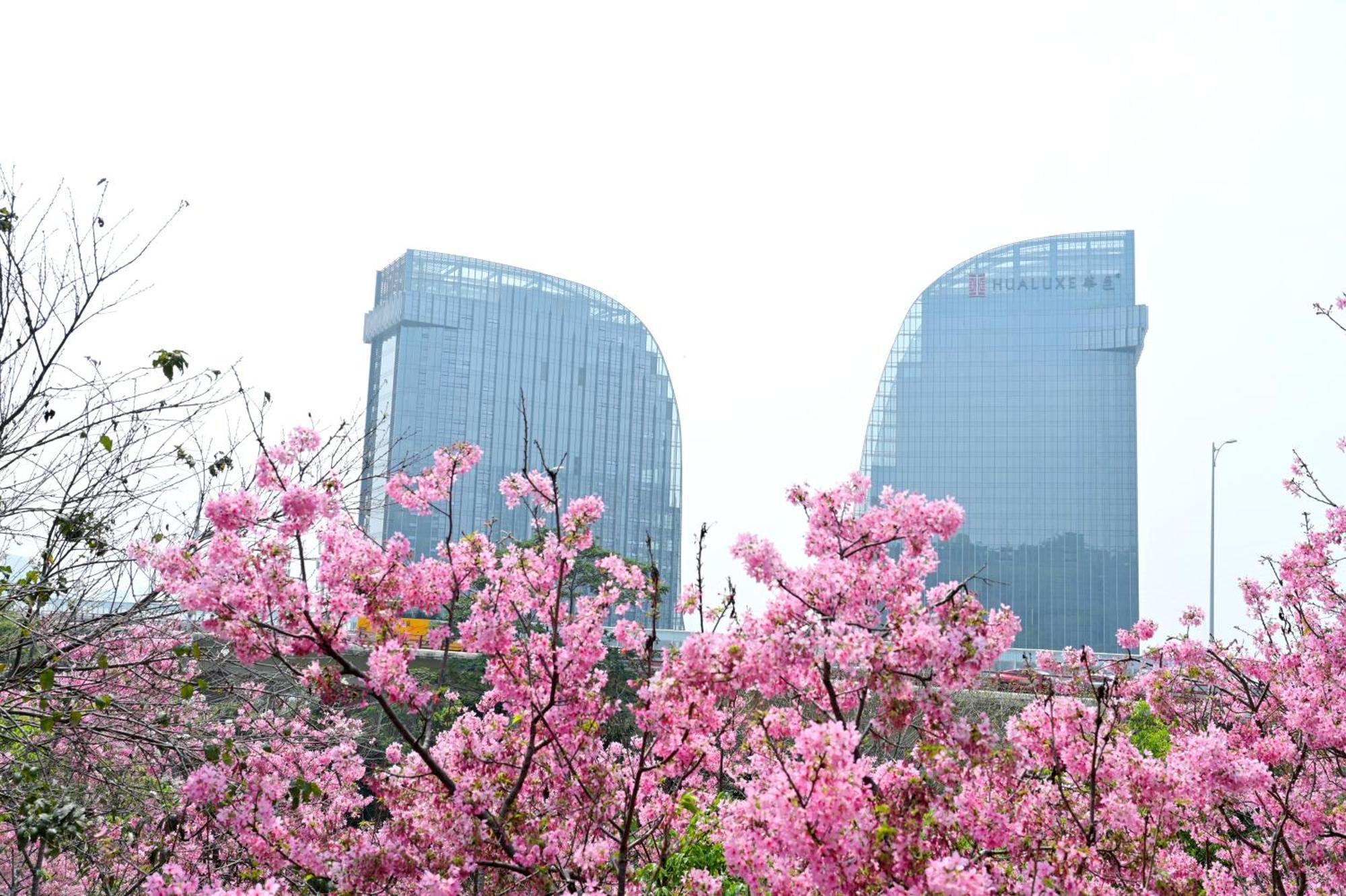 Hualuxe Xiamen Haicang Habour View Luaran gambar